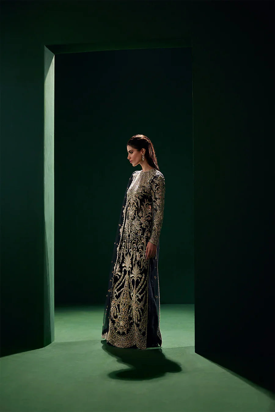 Soraya Organza Eclat Hand Embellished & Embroidered 3 Piece Dress