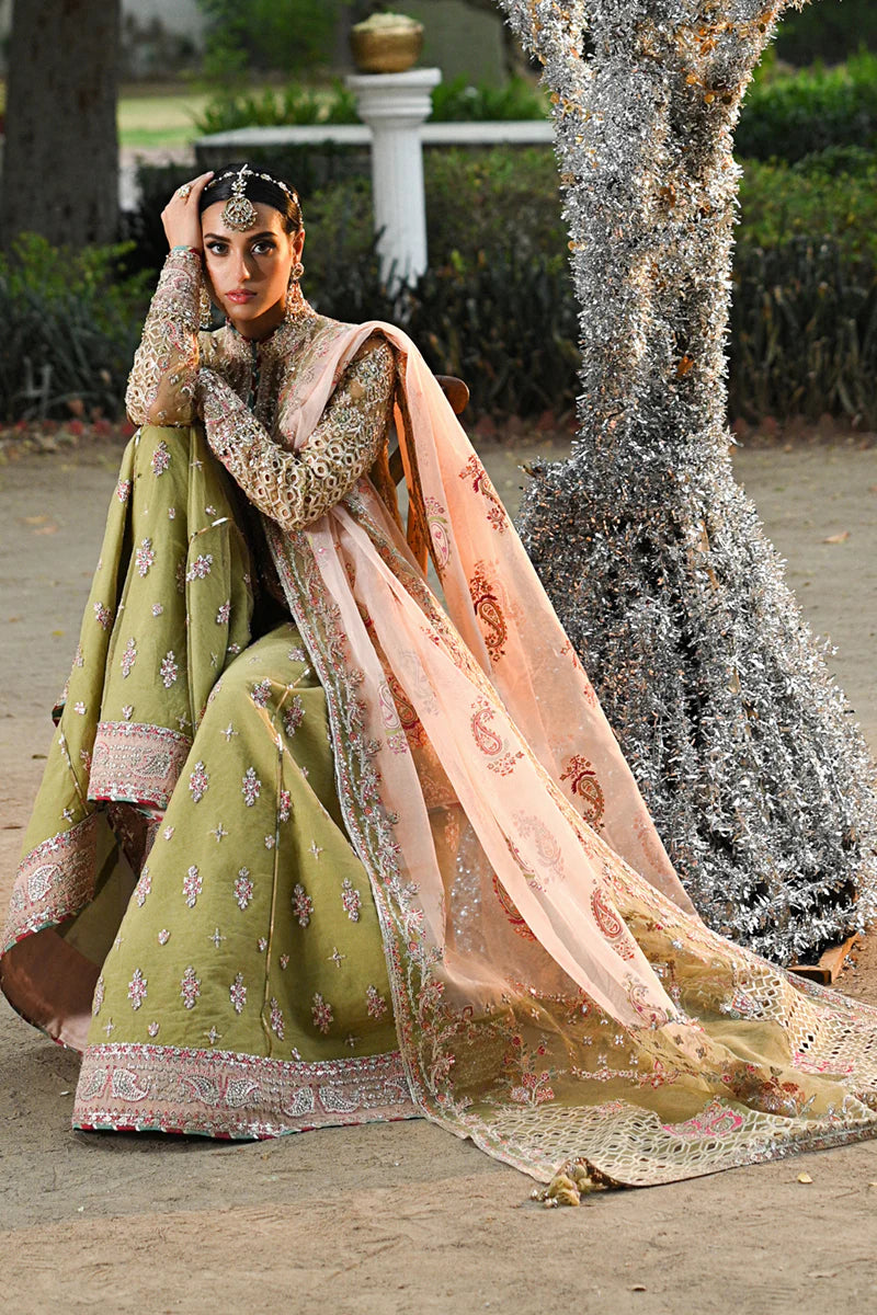 Qalamkar HALEENA Net Hand Embellished & Embroidered Gharara Dress