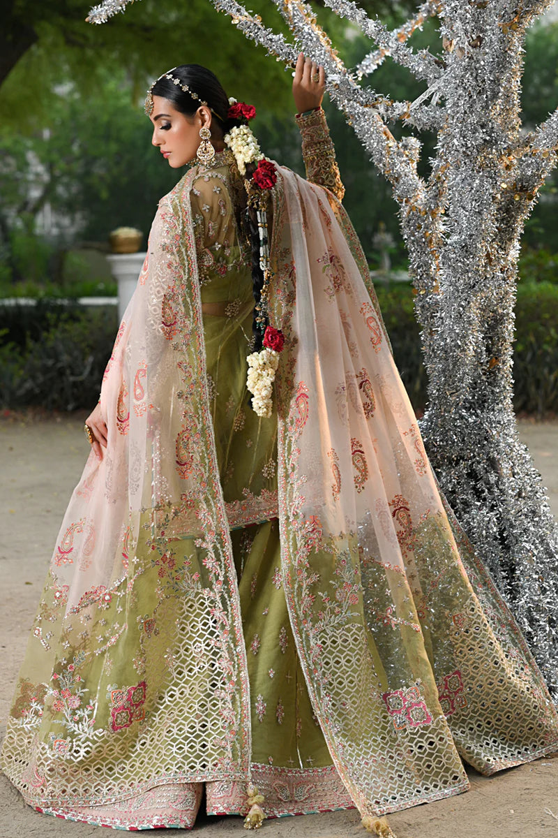 Qalamkar HALEENA Net Hand Embellished & Embroidered Gharara Dress