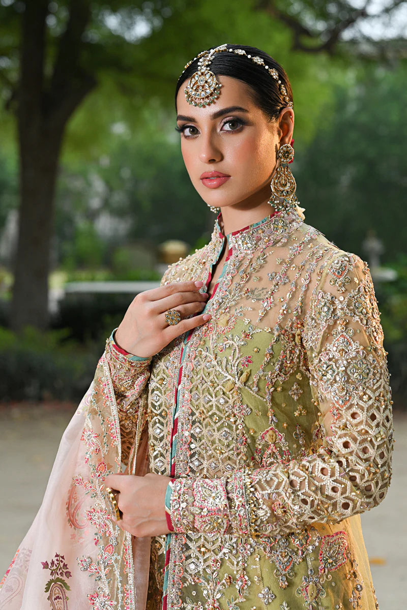 Qalamkar HALEENA Net Hand Embellished & Embroidered Gharara Dress