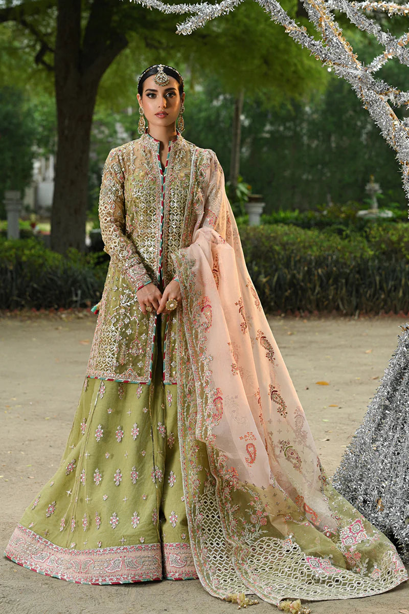 Qalamkar HALEENA Net Hand Embellished & Embroidered Gharara Dress
